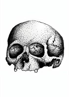 Stippled Skull Illustration