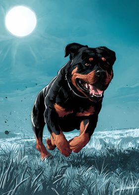 Rottweiler Running