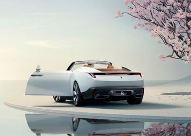 White Convertible Luxury Car