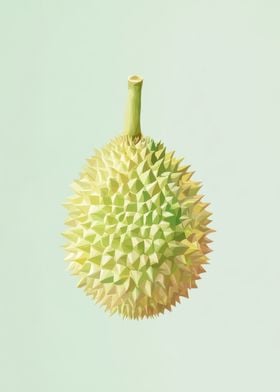 Durian Fruit Illustration