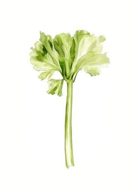 Watercolor Celery Illustration