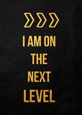 Next Level Motivation Poster