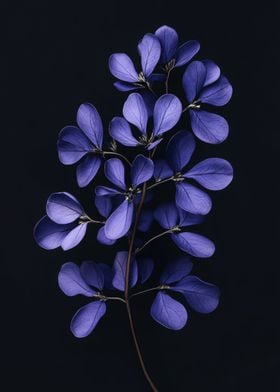 Purple Flower Branch