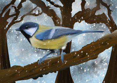 Blue Tit in Winter