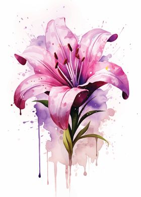 Pink Lily Watercolor