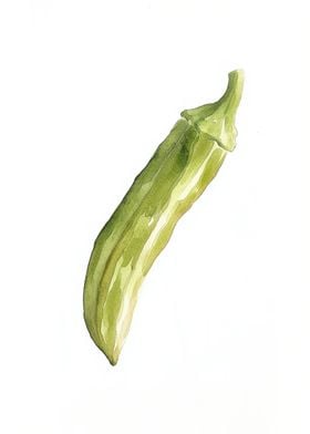 Watercolor Okra Illustration