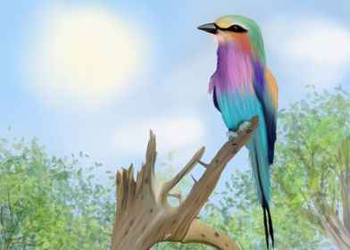 Rainbow Bird on Branch