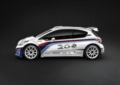 Peugeot 208 Rally Car