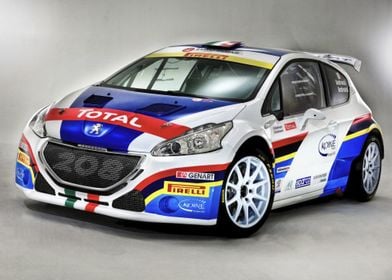 Peugeot 208 Rally Car