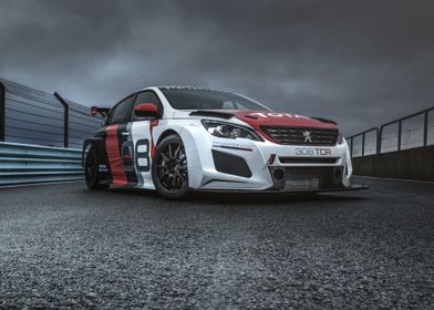 Peugeot 308 TCR Race Car