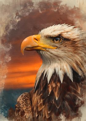 Majestic Bald Eagle Portrait