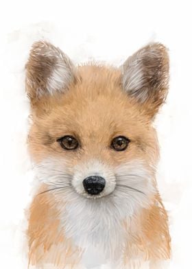 Cute Fox Portrait