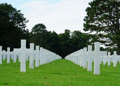 Military Cemetery Crosses