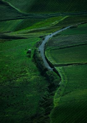 The  Winding Road in Sicilia