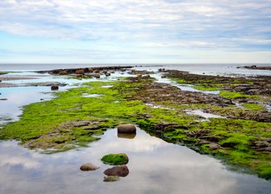 North Sea and Rocks