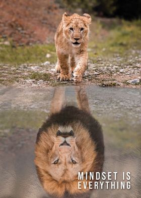 Lion Cub Reflection