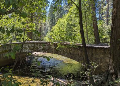 Stone Bridge in Forest