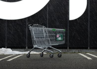 Shopping Cart in Snow