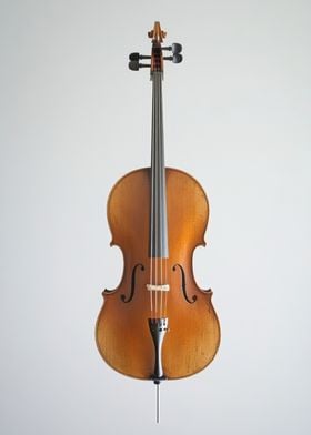 Cello on White Background