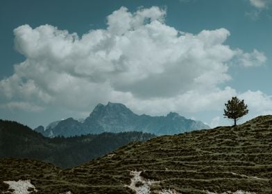 Lone Tree Mountain Landscape