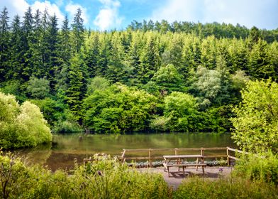 Picnic by the Lake