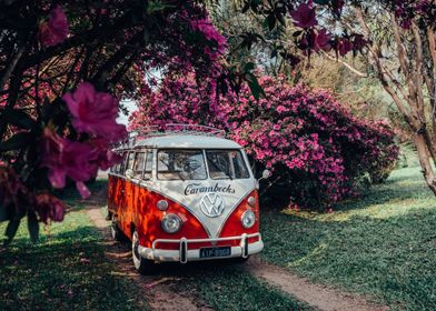 Vintage Bus in Bloom