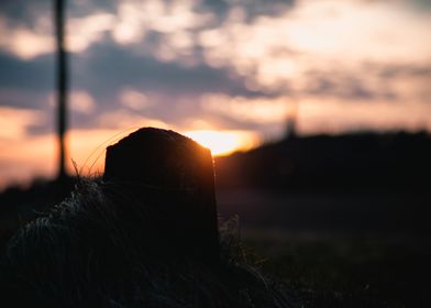 Sunset Silhouette