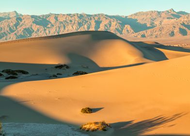 Desert Dunes at Sunset