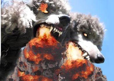 Fire-Breathing Poodles