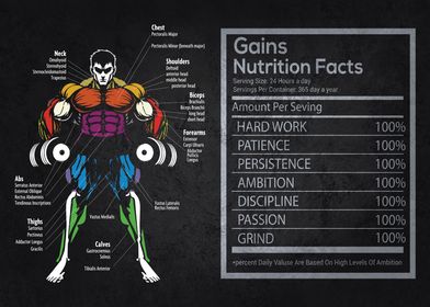 Muscle Chart Anatomy Diagram Bodybuilding Gains