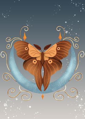 Moth on a Crescent Moon