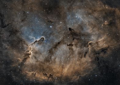 Elephant's Trunk Nebula