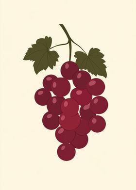 Red Grapes Illustration