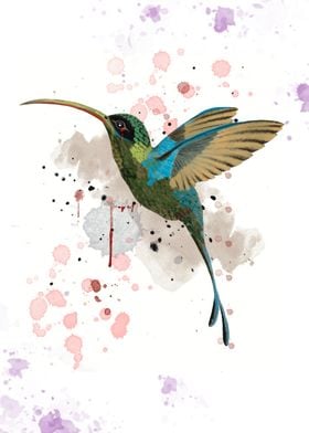 Abstract Hummingbird with Watercolor Splashes