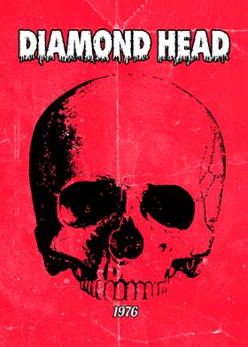 Diamond Head Skull Poster