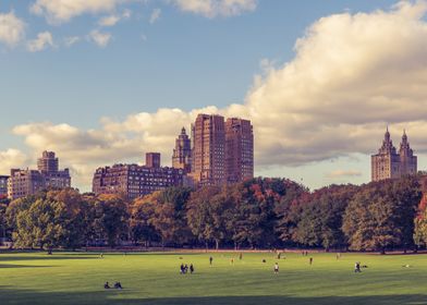 Central Park Skyline