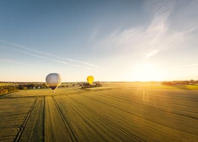 Hot Air Balloons Over Field