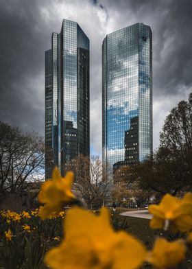 Twin Towers and Daffodils