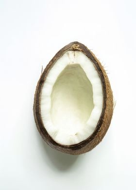 Half Coconut Shell