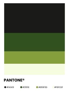 Pantone Color Palette