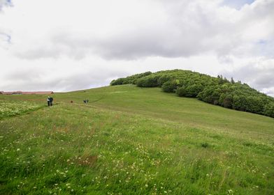 Green Meadow with Hikers