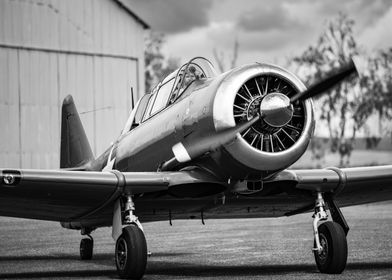 Vintage Airplane on Runway