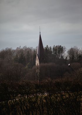 Church Spire in Forest