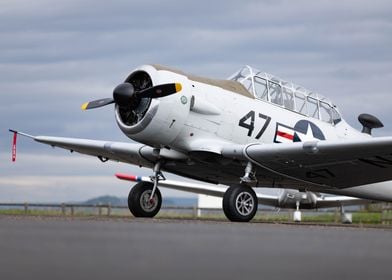 Vintage Airplane on Runway