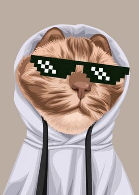 Cat in Hoodie with Shades meme