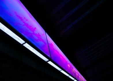 Neon Purple Panels