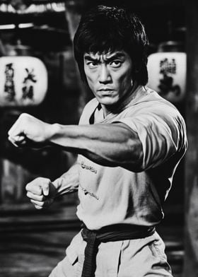 Bruce Lee Martial Arts