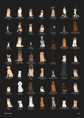 Dog Breed Chart