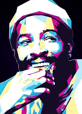 Marvin Gaye Pop Art