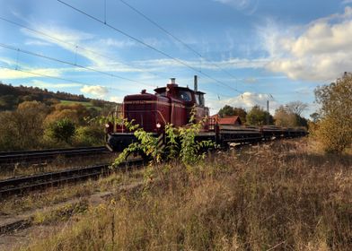 Red Freight Train in Autumn